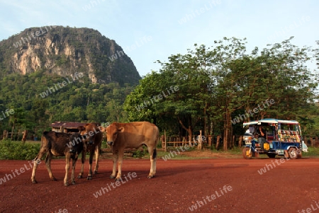 Die Landstrasse 12 beim Dorf Mahaxai Mai von Tham Pa Fa unweit der Stadt Tha Khaek in zentral Laos an der Grenze zu Thailand in Suedostasien.