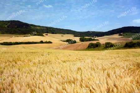 Landschaft bei Jena