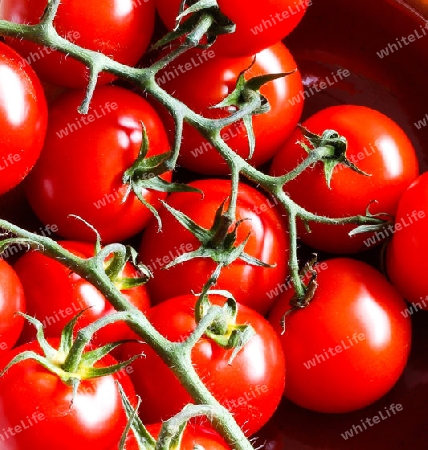 Tomaten