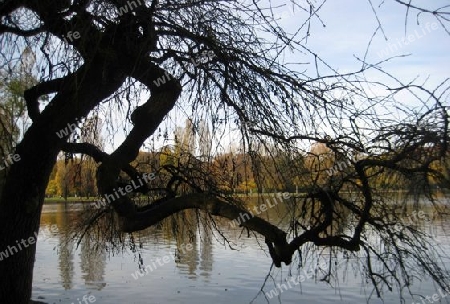 Englischer Garten M?nchen