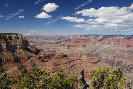 Grand Canyon #2