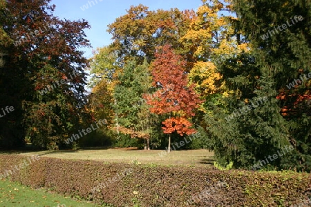 Herbst im Neuen Garten Potsdams