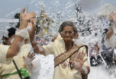 Das Songkran Fest oder Wasserfest zum Thailaendischen Neujahr ist im vollem Gange in Ayutthaya noerdlich von Bangkok in Thailand in Suedostasien.  