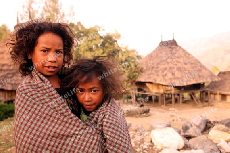 Kinder in einem Bauerndorf beim Bergdorf Maubisse suedlich von Dili in Ost Timor auf der in zwei getrennten Insel Timor in Asien.