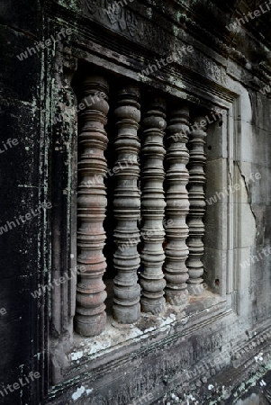 The Temple of  Ta Prohm in the Temple City of Angkor near the City of Siem Riep in the west of Cambodia.