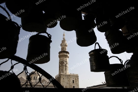 Asien, Naher Osten, Syrien, Damaskus,   Der Innenhof der  Omaijad Moschee im Souq und Altstadt von Damaskus in der Hauptstadt von Syrien. 