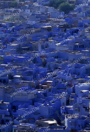 the blue city in the old town of Jodhpur in Rajasthan in India.