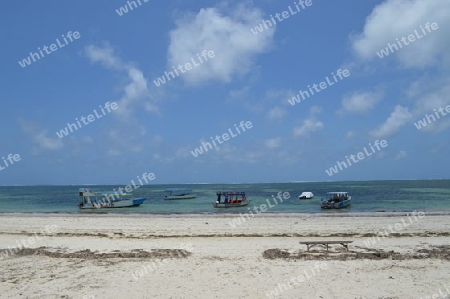 Mombasa Beach 