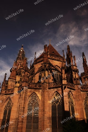 the muenster church in the old town of Freiburg im Breisgau in the Blackforest in the south of Germany in Europe.