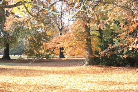 Bunter Herbst im Neuen Garten