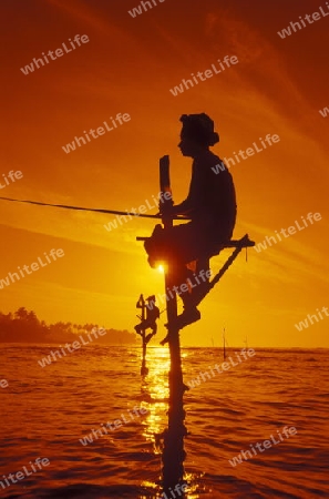 Asien, Indischer Ozean, Sri Lanka,
Traditionelle Fischer sogenannte Stelzenfischer beim Fischen in der naehe des Kuestendorf Ahangama an der Suedkueste von Sri Lanka. (URS FLUEELER)






