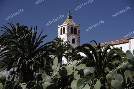 the Village Betancuria on the Island Fuerteventura on the Canary island of Spain in the Atlantic Ocean.