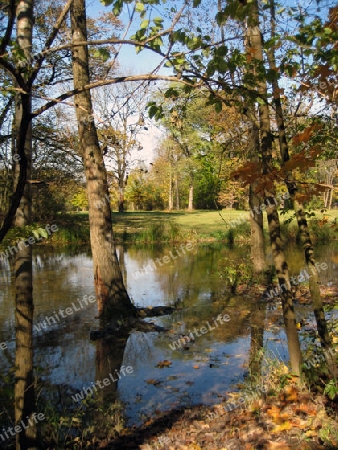 Englischer Garten M?nchen