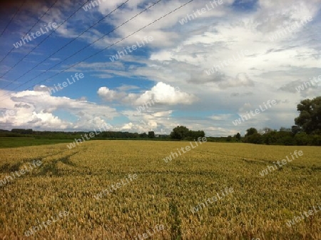 Wolke, Feld, Sommer