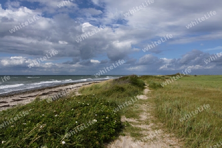 Die K?hlung, Ostsee,  Mecklenburg-Vorpommern