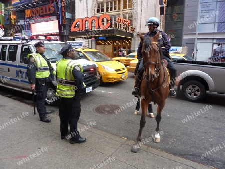 New York Polizist am Pferd