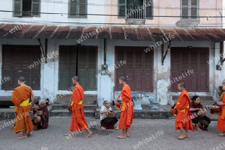 Moenche am fruehen Morgen beim einsammeln von Reis in der Altstadt von Luang Prabang in Zentrallaos von Laos in Suedostasien.