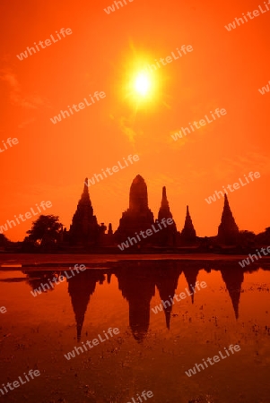 The Wat Chai Wattanaram Temple in City of Ayutthaya in the north of Bangkok in Thailand, Southeastasia.