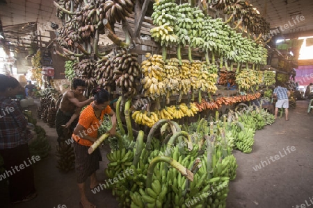 a big Banana Shop in a Market near the City of Yangon in Myanmar in Southeastasia.