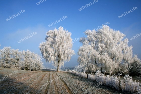 Winterlandschaft