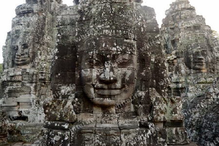 Stone Faces the Tempel Ruin of Angkor Thom in the Temple City of Angkor near the City of Siem Riep in the west of Cambodia.