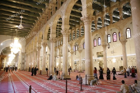 Asien, Naher Osten, Syrien, Damaskus,   Der Innenhof der  Omaijad Moschee im Souq und Altstadt von Damaskus in der Hauptstadt von Syrien. 