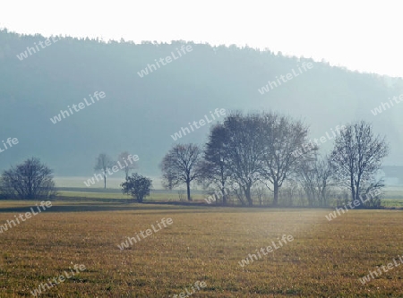 Morgenlicht im Neckartal