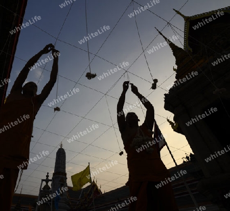 Moenche bei den Vorbereitungen auf die Neujahrsnacht Feier in der Tempelanlage des Wat Pho in der Hauptstadt Bangkok von Thailand in Suedostasien.