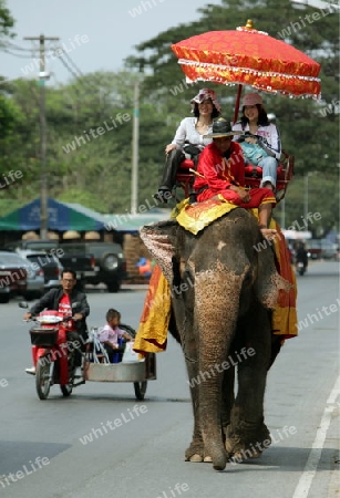 Ein Elephanten Taxi vor einem der vielen Tempel in der Tempelstadt Ayutthaya noerdlich von Bangkok in Thailand.  