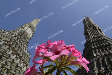 Die Tempelanlage des Wat Arun am Mae Nam Chao Phraya River in der Hauptstadt Bangkok von Thailand in Suedostasien.