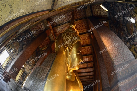 Der Grosse liegende Buddha im Wat Pho Tempel in der Stadt Bangkok in Thailand in Suedostasien.