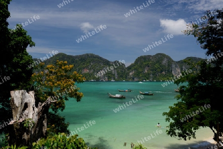 A Beach on the Island of Ko PhiPhi on Ko Phi Phi Island outside of the City of Krabi on the Andaman Sea in the south of Thailand. 