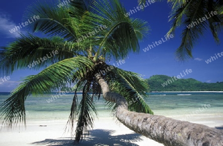Ein Traumstrand auf der Insel Praslin auf den Seychellen im Indischen Ozean.