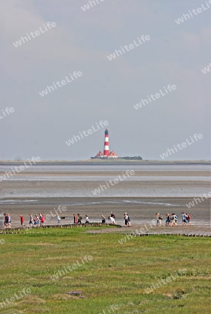 Wattwandern am Westerhever Leuchtturm