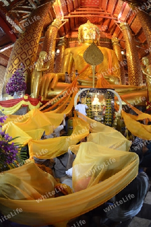 A allday ceremony in the Wat Phanan Choeng Temple in City of Ayutthaya in the north of Bangkok in Thailand, Southeastasia.