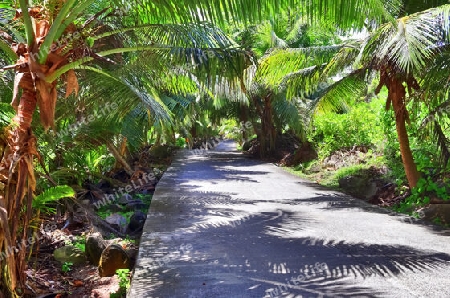 Beautiful impressions of the tropical landscape paradise on the Seychelles islands