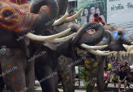 Das Songkran Fest oder Wasserfest zum Thailaendischen Neujahr ist im vollem Gange in Ayutthaya noerdlich von Bangkok in Thailand in Suedostasien.  