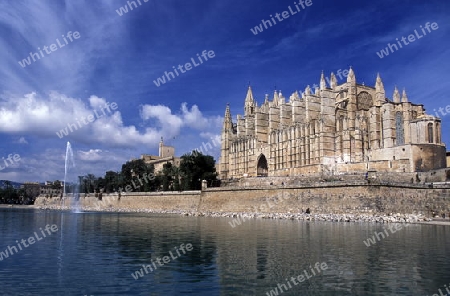 Die Kathedrale La Seu in der Hauptstadt Palma de Mallorca auf der Insel Mallorca im Mittelmeer in Spanien.