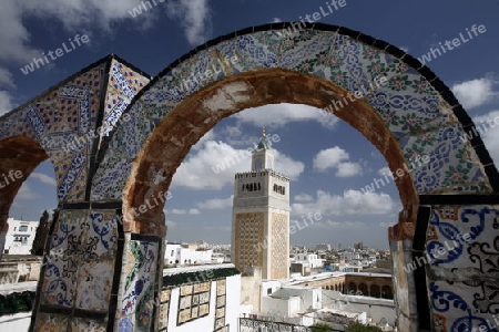 Die Moschee Zaytouna oder Grosse Moschee im Souq oder Bazzar in der Altstadt  von Tunis am Mittelmeer in Tunesien in Nordafrika..