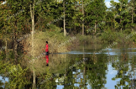 Ein Fischer in einer Lagune bei Khong Chiam in der Umgebung von Ubon Ratchathani im nordosten von Thailand in Suedostasien.