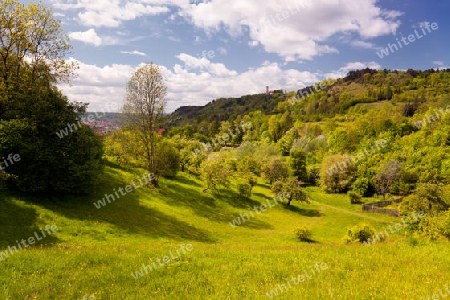 Landschaft im Ziegenhainer Tal