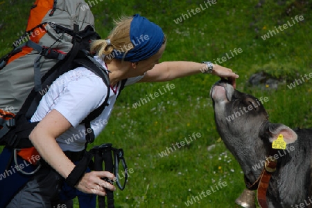 Wandererin mit Kalb