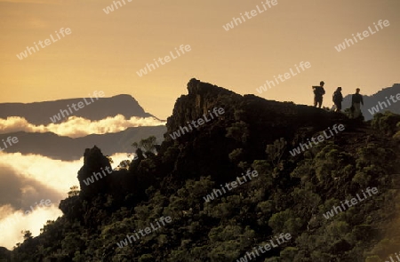 The landscape allround the Grand Bassin on the Island of La Reunion in the Indian Ocean in Africa.