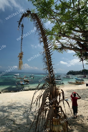 Ein Strand in Jungutbatu Beach im westen der kleinen Insel Nusa Lembongan im osten der Insel Bali in Indonesien in Suedostasien.