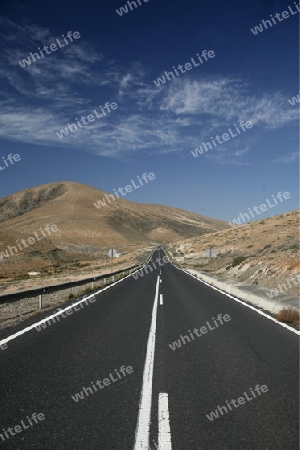 a Road in the south of the Island Fuerteventura on the Canary island of Spain in the Atlantic Ocean.