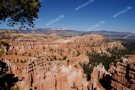 Blick auf den Bryce Canyon