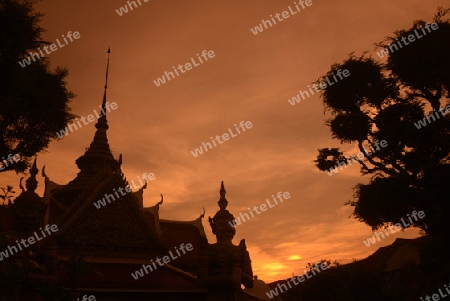 Der Wat Arun Tempel in der Stadt Bangkok in Thailand in Suedostasien.