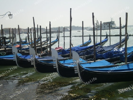 Venedig Gondeln Markusplatz