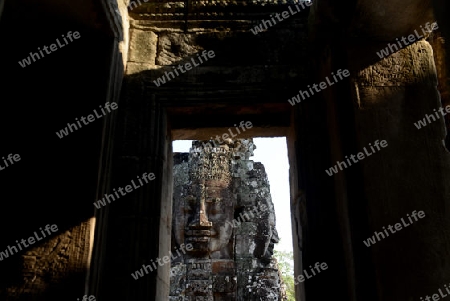 Stone Faces the Tempel Ruin of Angkor Thom in the Temple City of Angkor near the City of Siem Riep in the west of Cambodia.