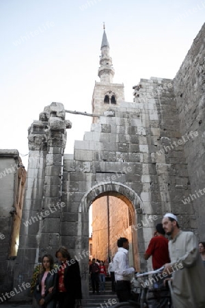 Asien, Naher Osten, Syrien, Damaskus,   Der Innenhof der  Omaijad Moschee im Souq und Altstadt von Damaskus in der Hauptstadt von Syrien. 